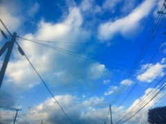 久しぶりに晴れた〜!