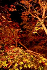 清水の滝7