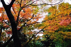 IMG_0119
