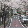 登りたくなる坂道