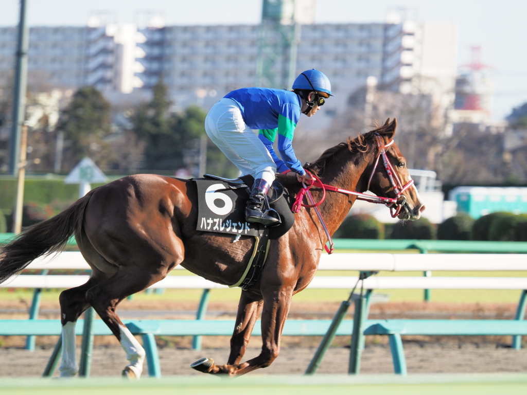 ハナズレジェンド号