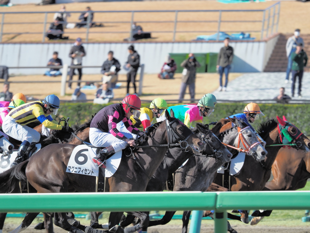 静と動