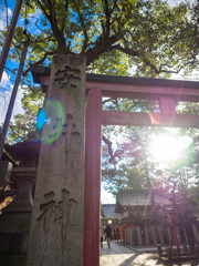 安井神社　鳥居