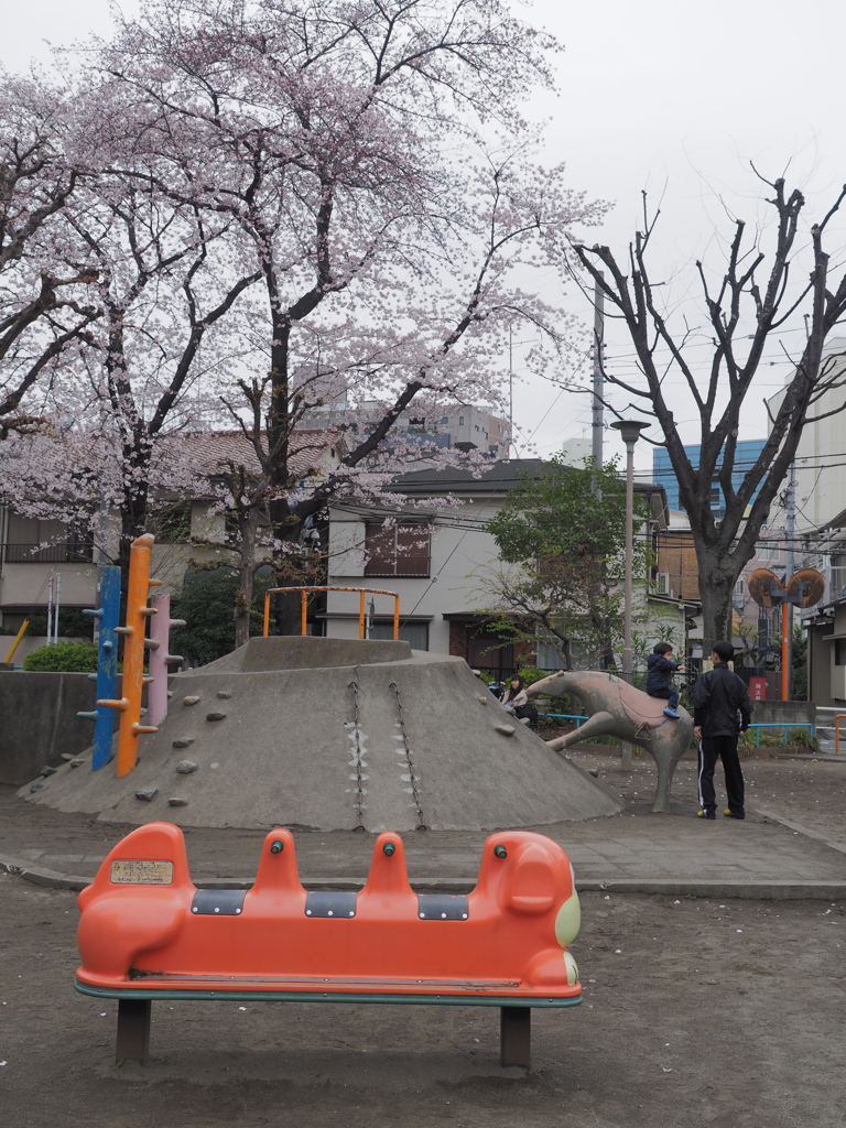 こぢんまりとした公園にある桜っていいですね。