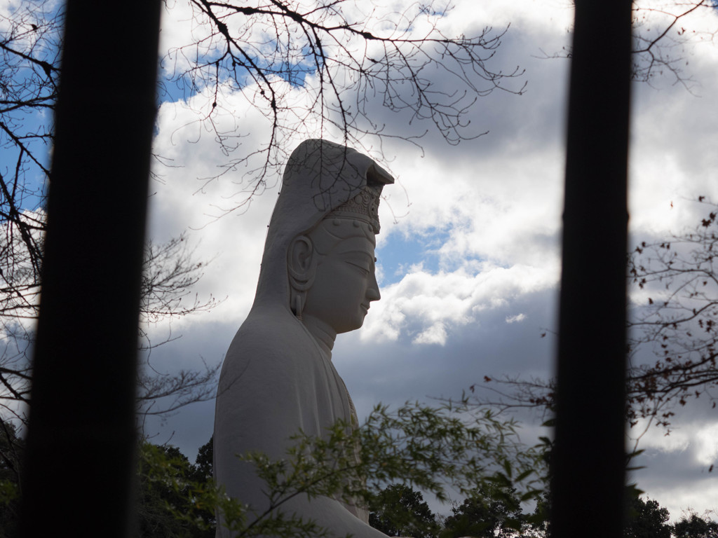高台寺　竹林より