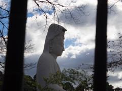 高台寺　竹林より