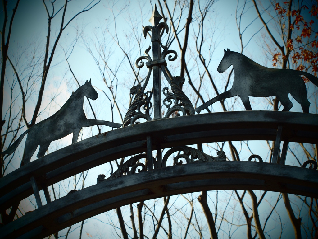 横浜・根岸競馬場1 