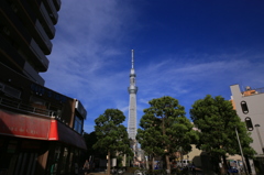 真夏のスカイツリー