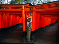 千本鳥居は右側通行