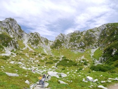 高山の花畑