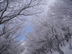 樹氷トンネル