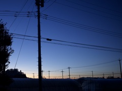 R0000591
