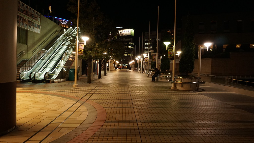 DSC09005