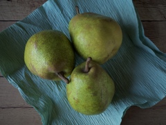 R0000233