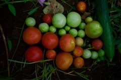 R0001215