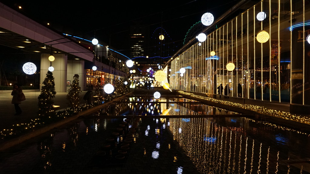 DSC09004