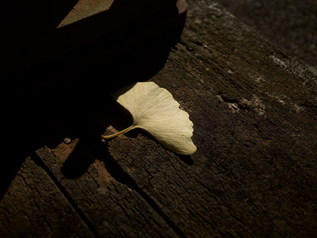 R0000260