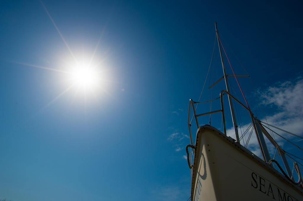 Sailing Day