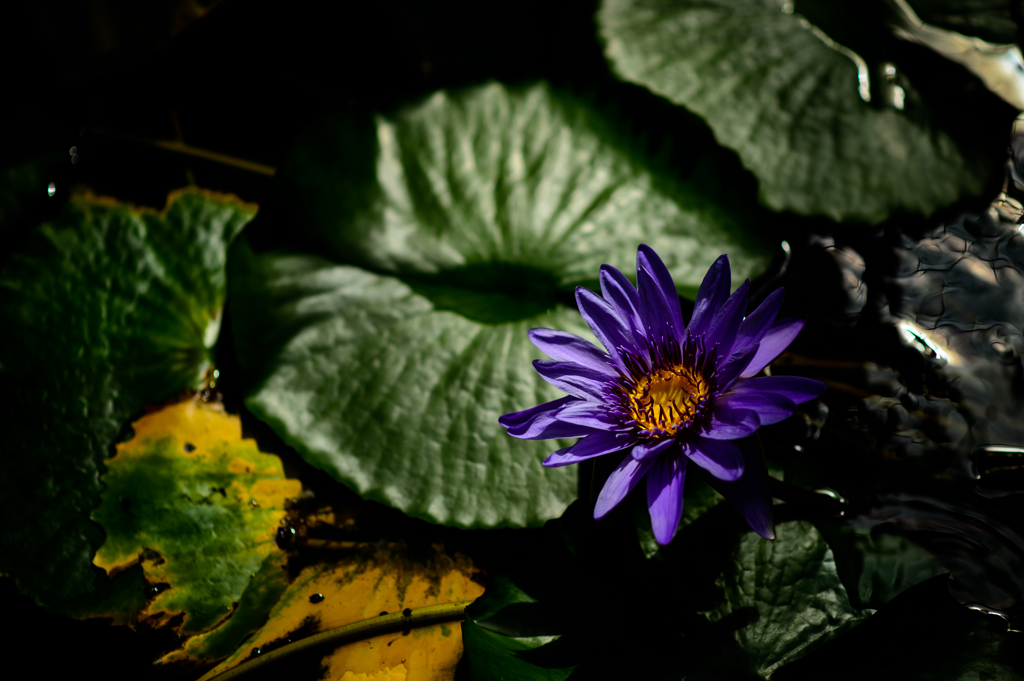 in the dark
