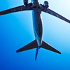 Summer × plane