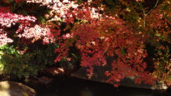 PC011275