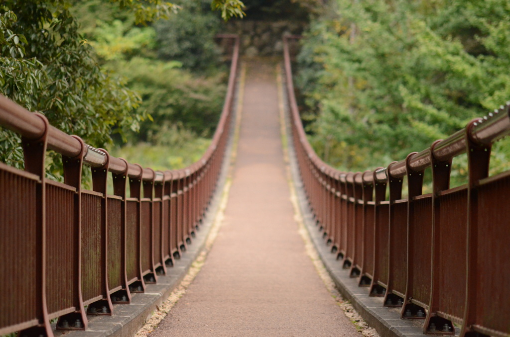 石舟橋