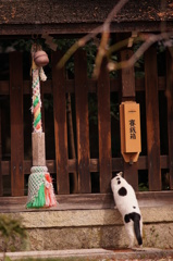 参拝？