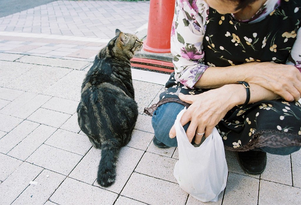 近所付き合い