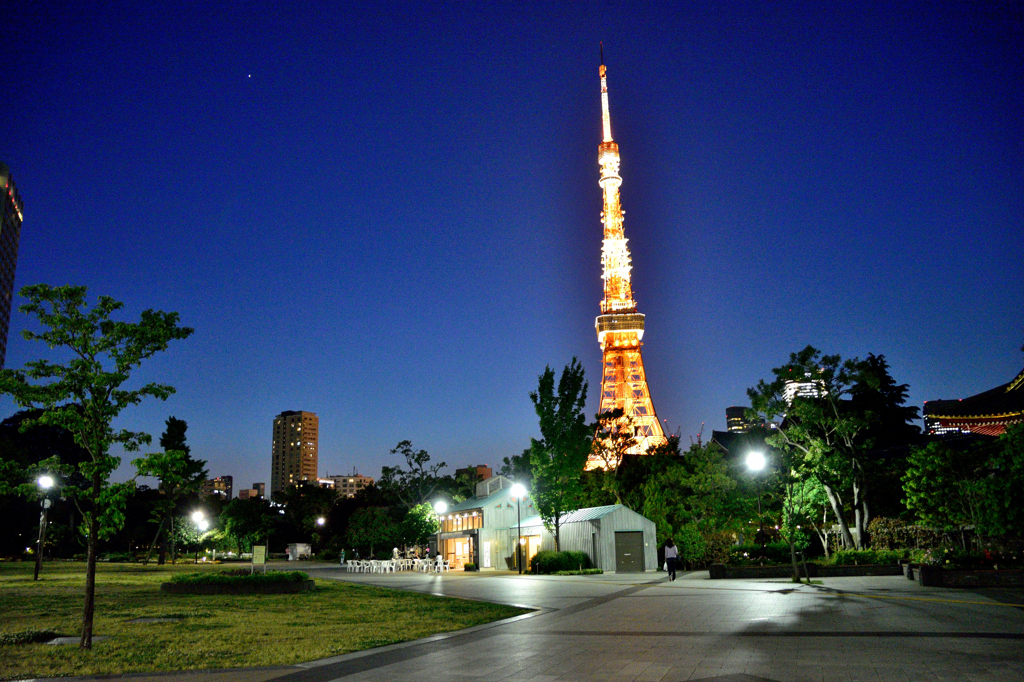 「港区立芝公園」より、東京タワーを・・・