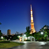 「港区立芝公園」より、東京タワーを・・・