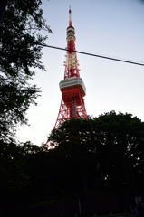 「増上寺の森」と「東京タワー」
