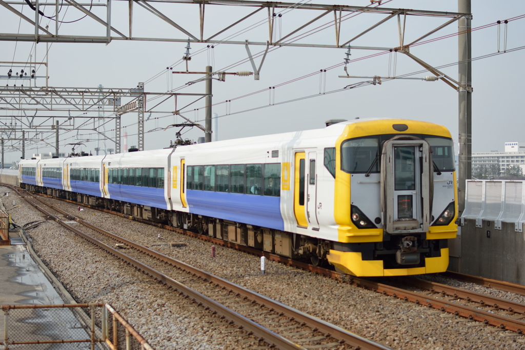 こちらは「わかしお」のE257系