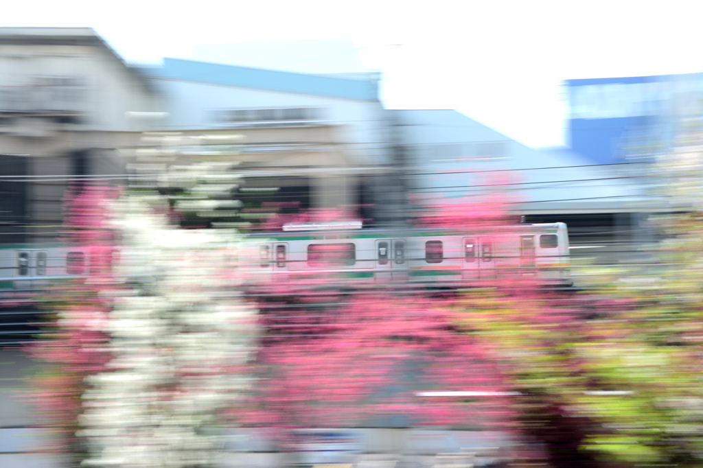 春らしく・・・。開業「上野・東京ライン」。