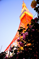 「薔薇」と「東京タワー」