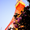 「薔薇」と「東京タワー」
