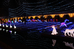 神戸イルミナージュ