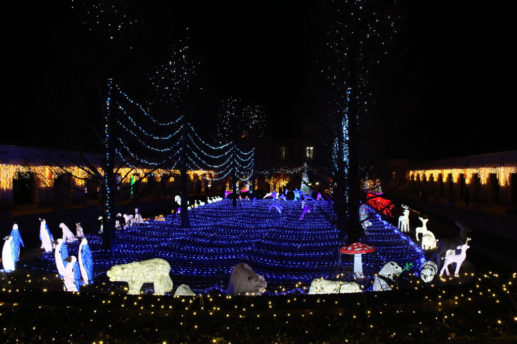 神戸イルミナージュ