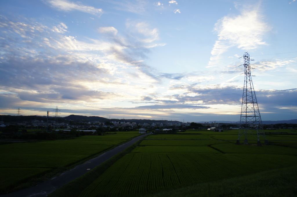 鉄塔の骸骨