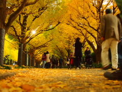 yellow carpet