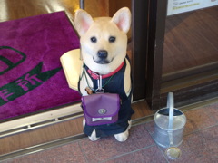 犬印鞄製作所 浅草雷門通り店 1 乾 犬之進(いぬい・いぬのしん)　殿！