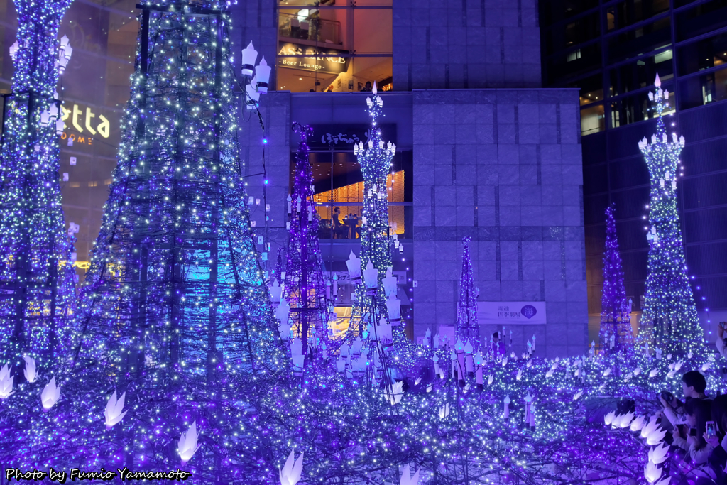 Caretta Illumination 2018　その３