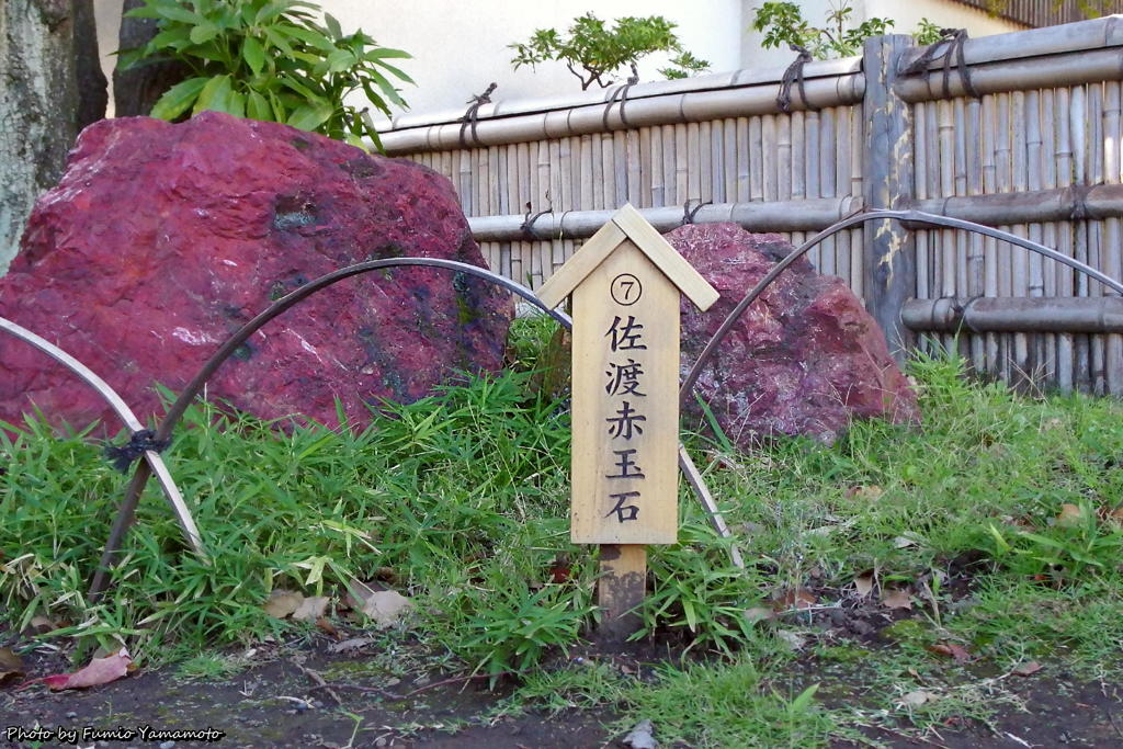 清澄庭園にて　その６