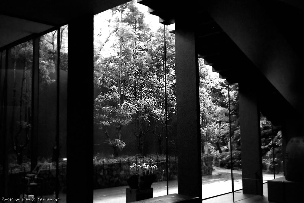ご隠居(Nikon SP)の試写(根津美術館編)　その４