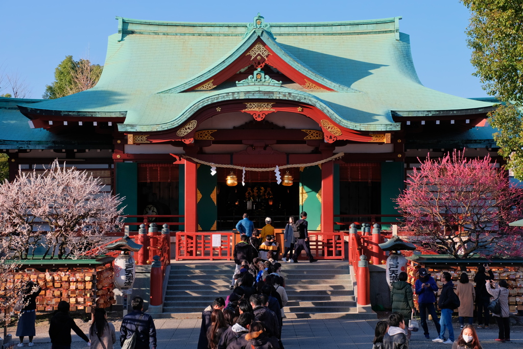 亀戸天神 ２０２０年 如月 その３