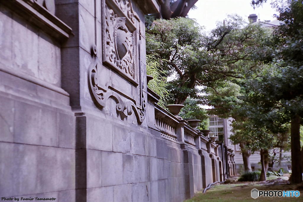 ご隠居(Nikon SP)の試写(旧岩崎邸庭園編)　その５