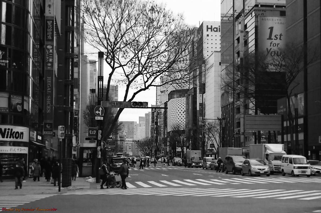 ご隠居(Nikon SP)の試写(銀座編)　その７