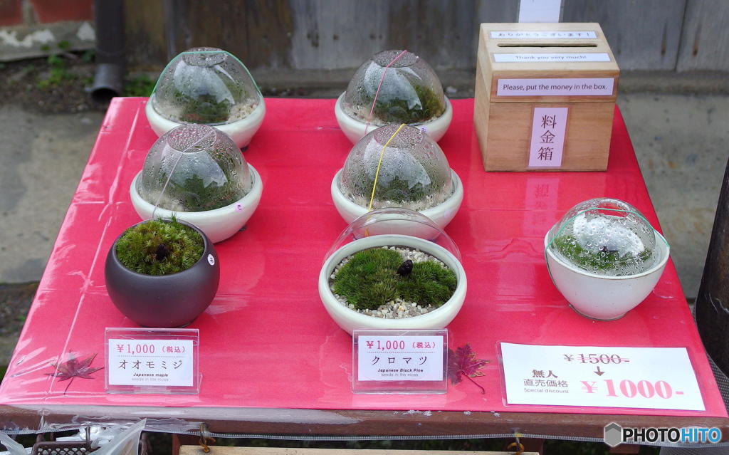 京都の無人販売　その2