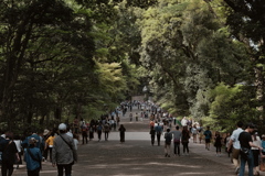 明治神宮　２０１９皐月　その２