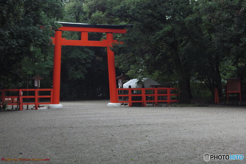雨の下鴨神社にて　その１