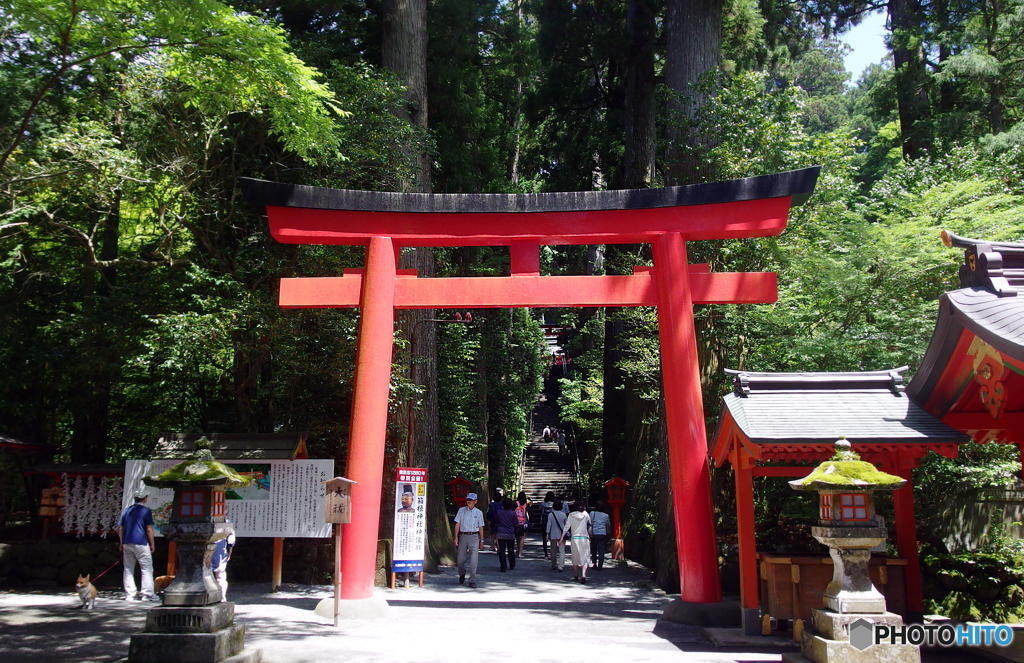 箱根神社にて　その５
